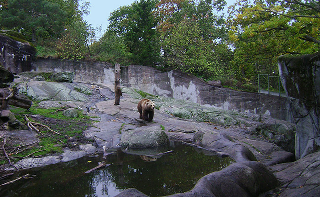 Северная Сага (большой тур)
